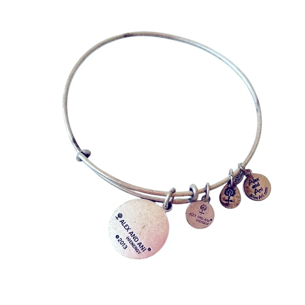 Alex and Ani elegant silver